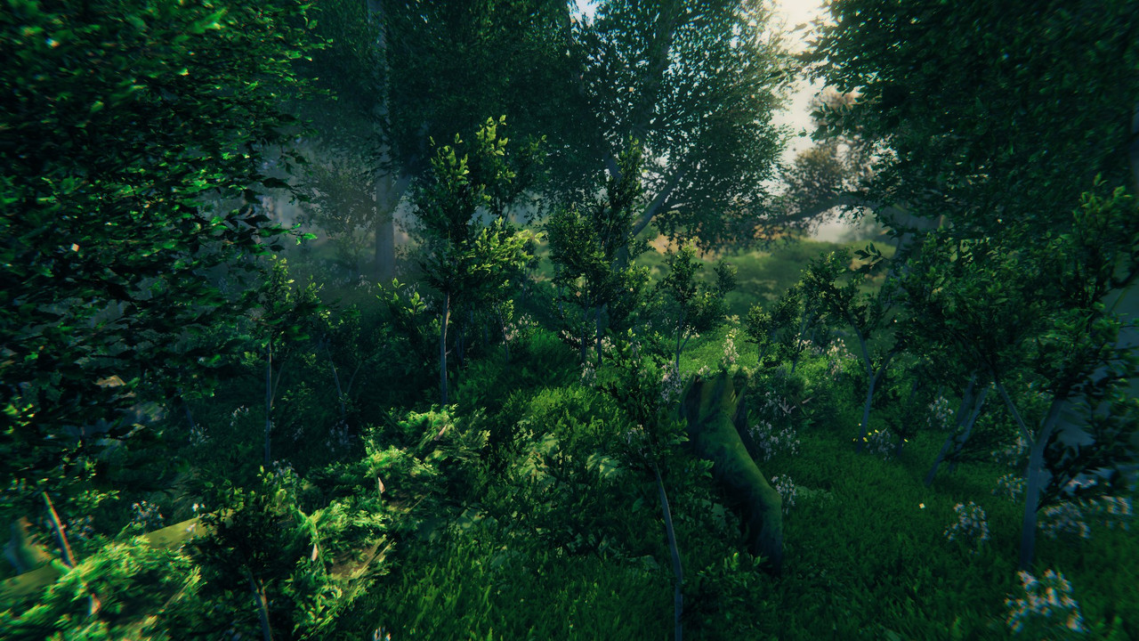 meadows-1