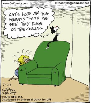 Cat Humor #8