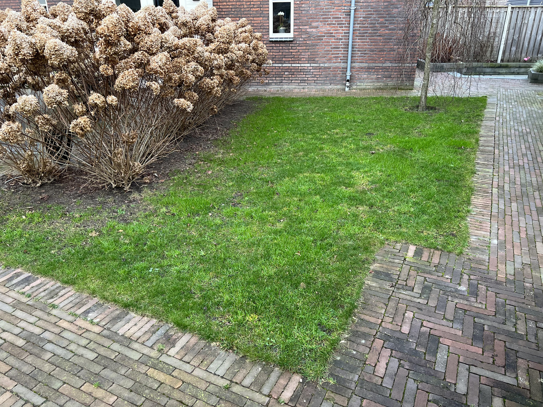 D5DC6D74-F0F4-40D9-AC85-BAB2359A845F