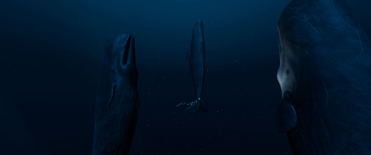 Beyond-Blue-Screenshot-2024-02-03-18-05-