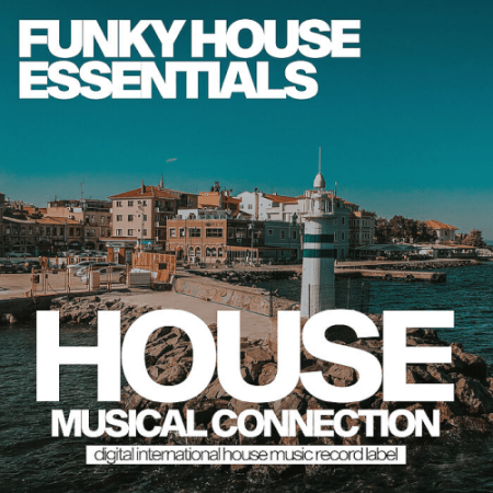 f6340111 306b 4fe5 a610 d7714f4c5cb9 - VA - Funky House Essentials (2022)