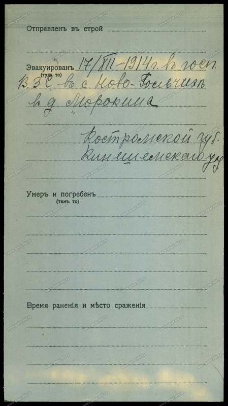 Андрушкевич Павел _2