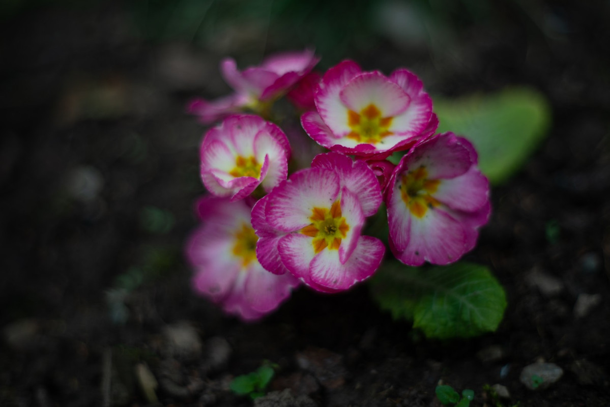 IMG-73fc39a281ec536fd8b4f8361d4d72f1-V