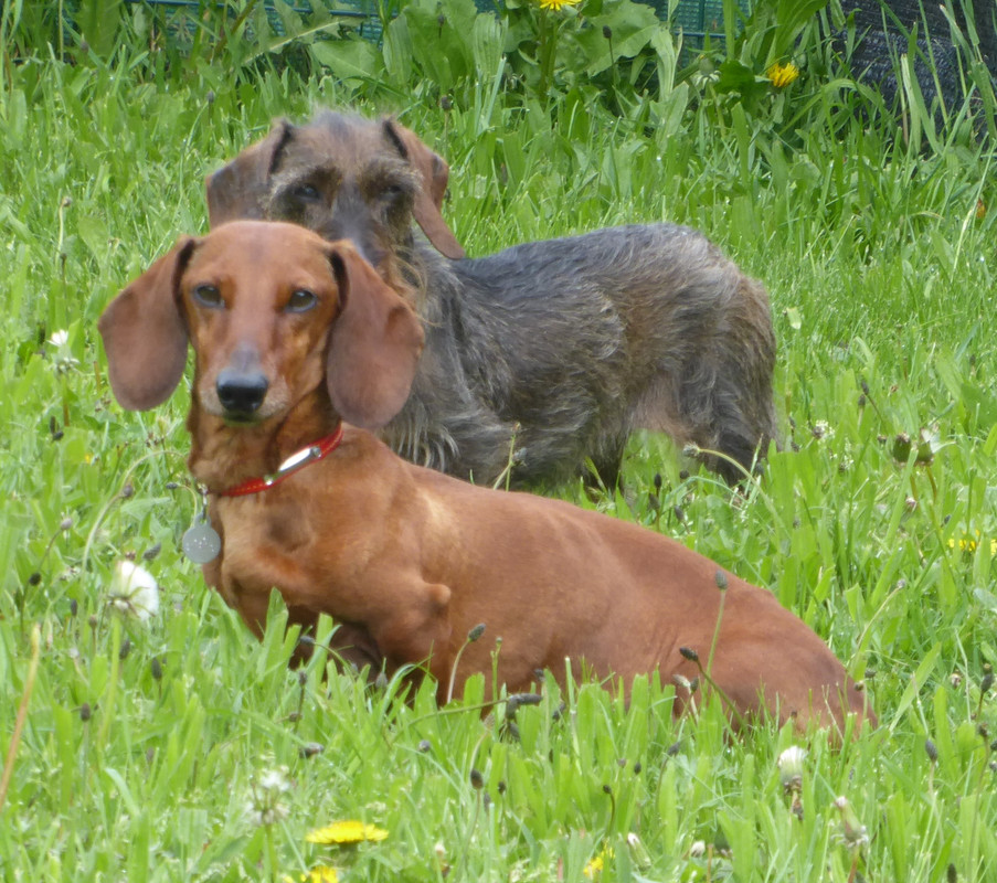 [Image: P1020685.jpg]