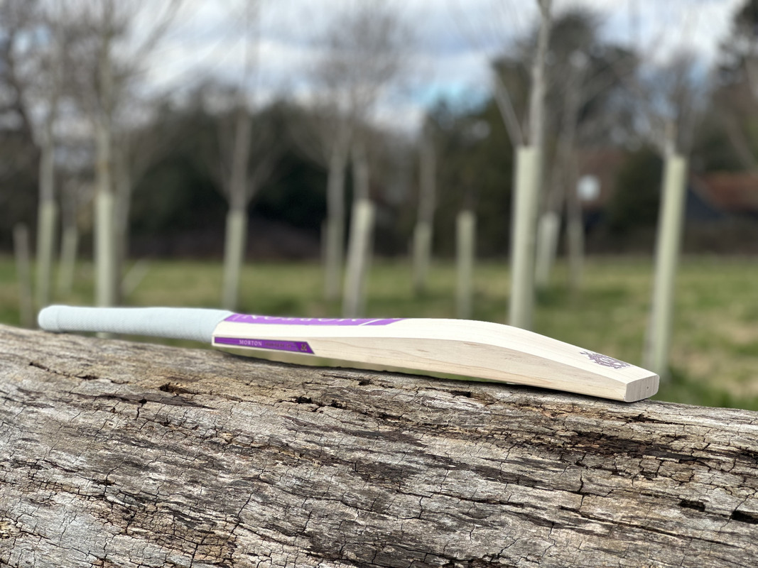 55BB4586-EACA-4AF6-ADEF-A474D9AC4EAC