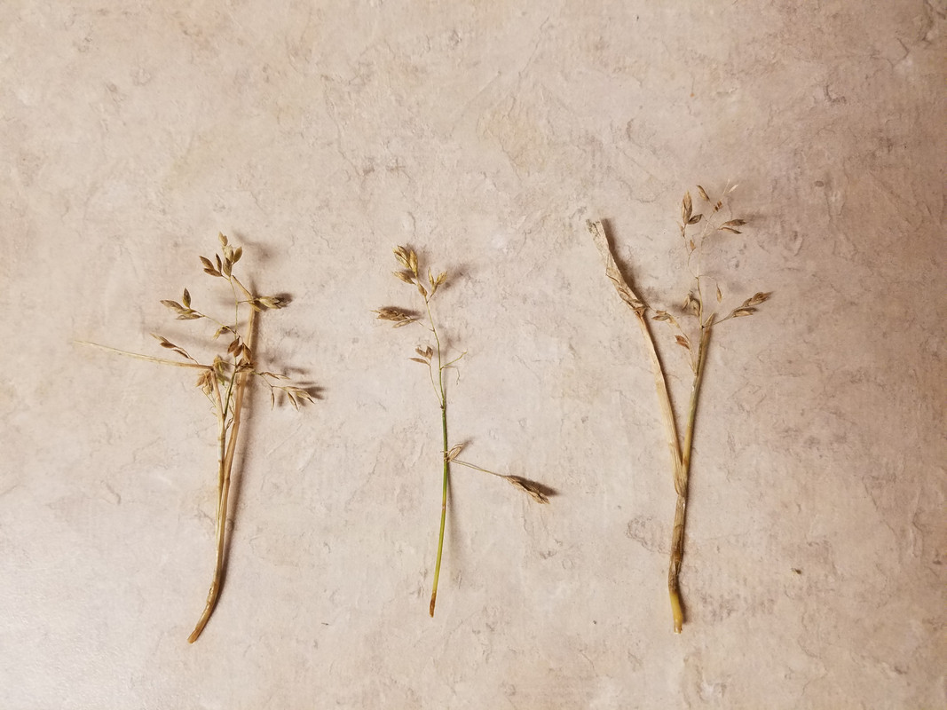 JPEG_20180611_214801