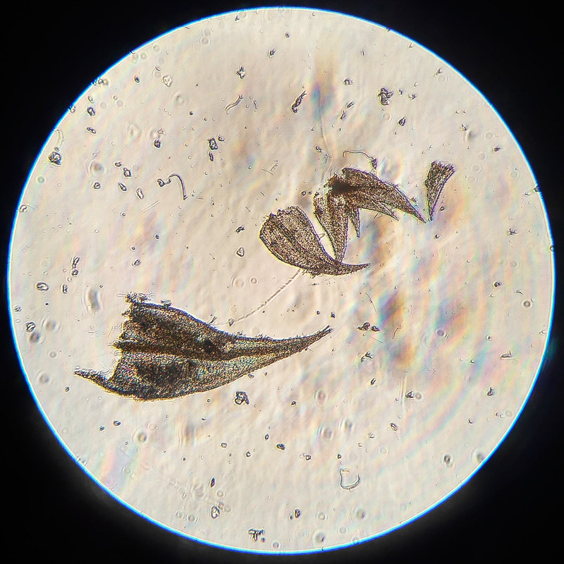 IMG 20250615 222535 HDR