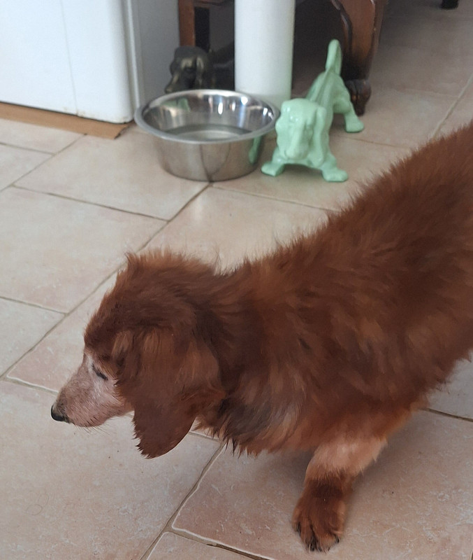 [Image: 1000067787.jpg]