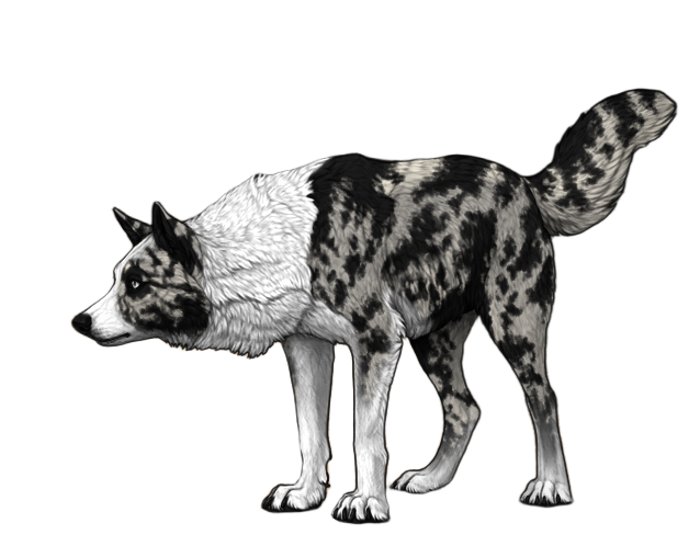 image4678