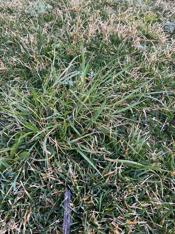 1F70DDC5-62E9-4F5A-A1CE-7E1B0758B6C2