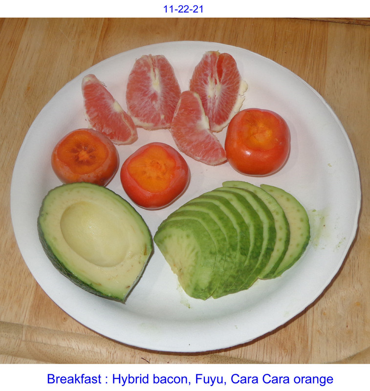 Mini-Fuyus (11-22-21)