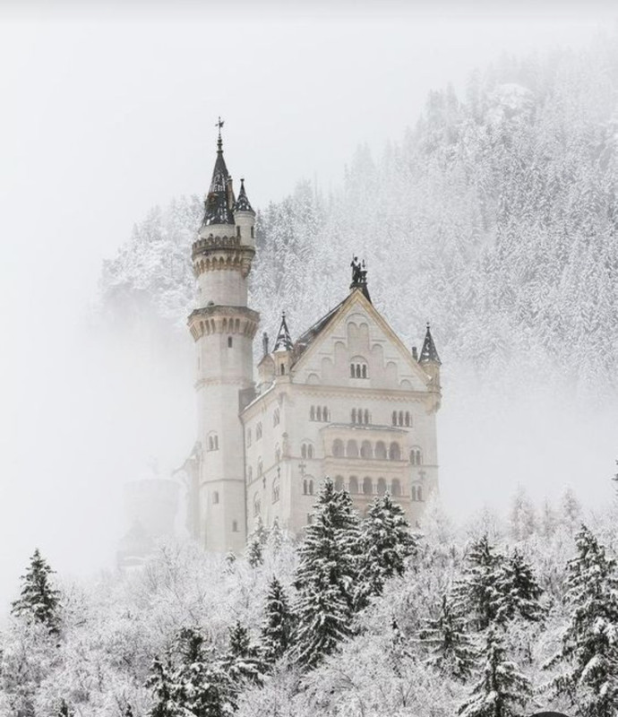 Screenshot_20230224_011656_Pinterest