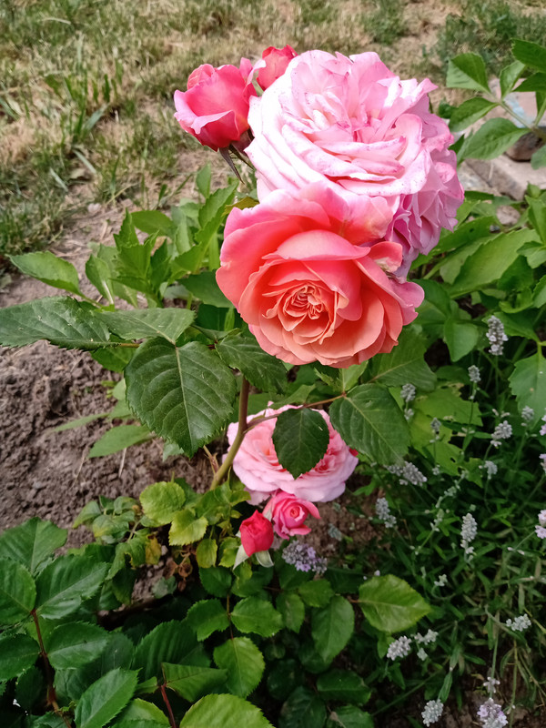IMG_20230610_151910660