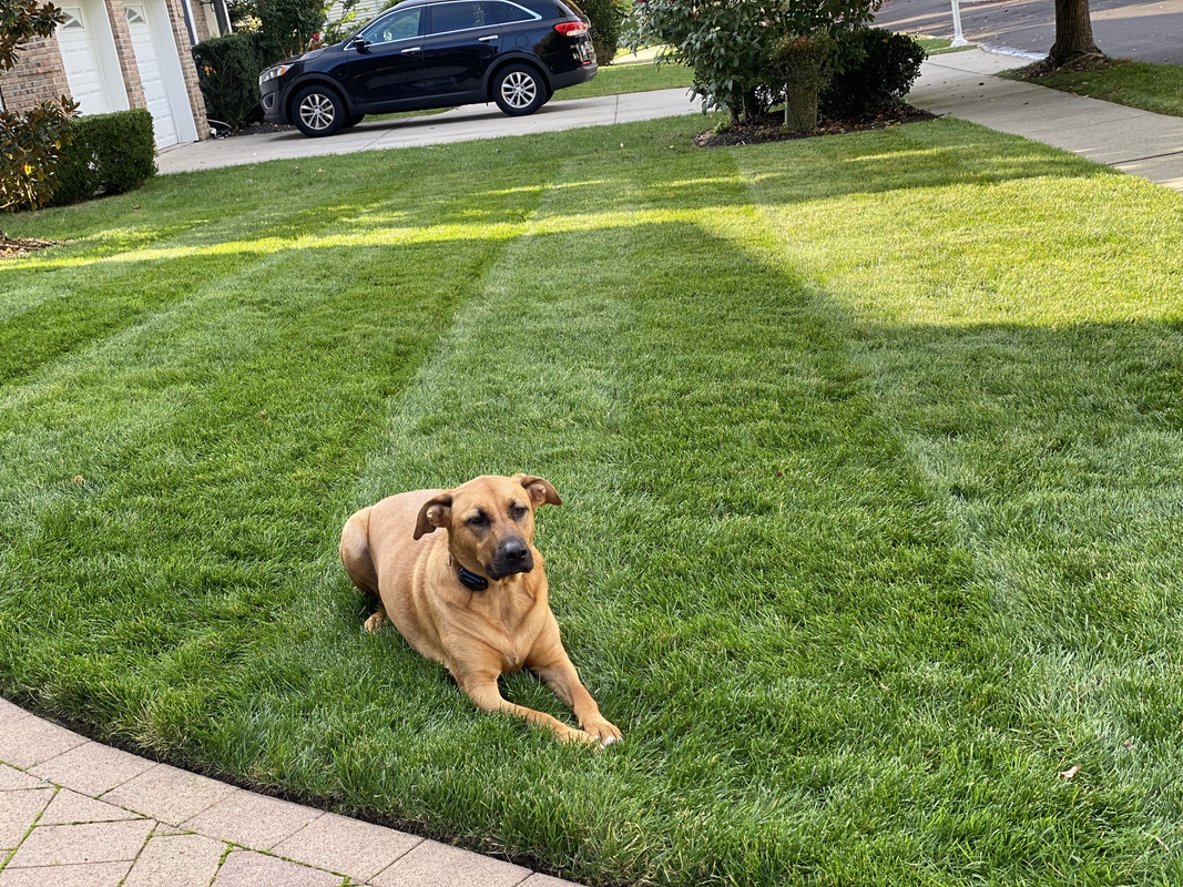 D7F4050A-18E5-452B-A2BC-0D32BC0E8E8C