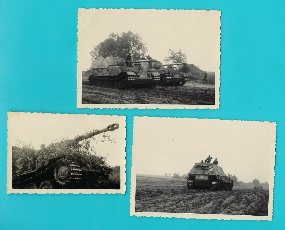 org. Foto`s, Panzerjäger Tiger ( P )  FerdinandElefant, camoufla