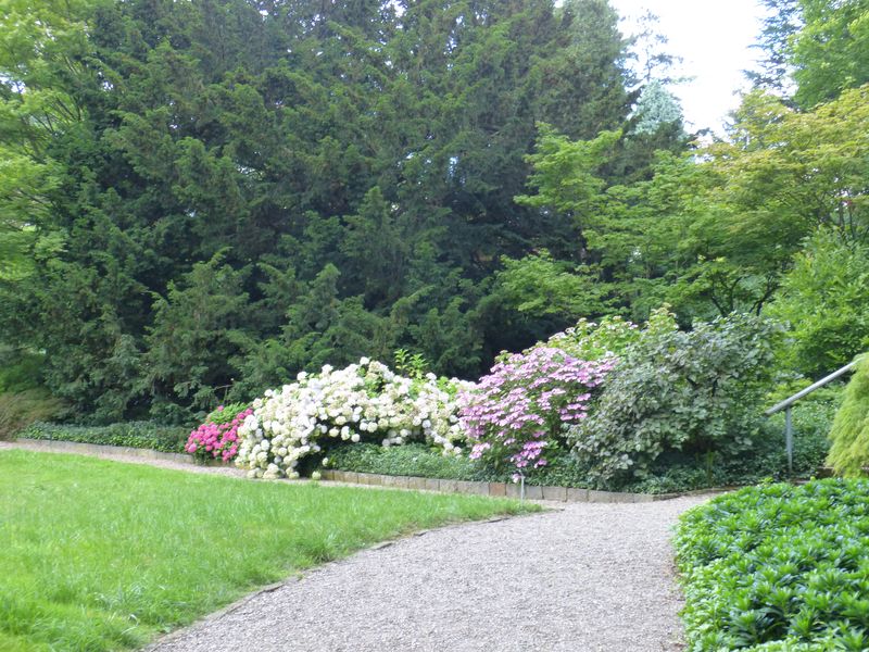 2014-07-13 Arboretum Härle 49