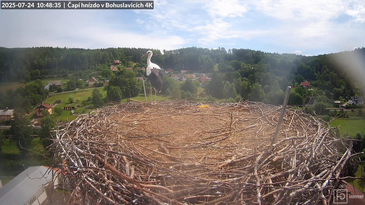 Živě z čapího komína firmy KARA v Bohuslavicích u Trutnova 12-42-21 screenshot