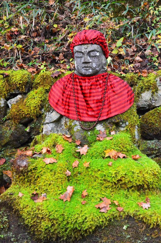 Abismo Kanmangafuchi-13-11-2024 - Japón y sus Pueblos-2024 (24)