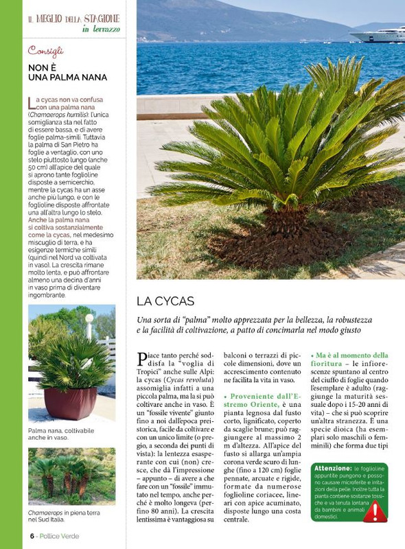 Pol Ver Mag 2023 (1)