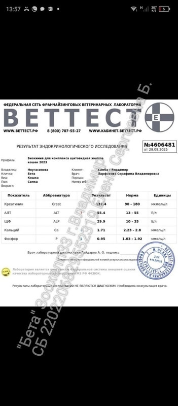 Результаты анализов 28.09.25