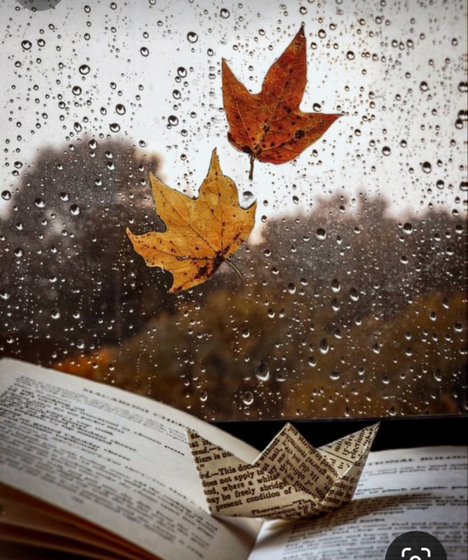 Screenshot_20231219_230721_Pinterest