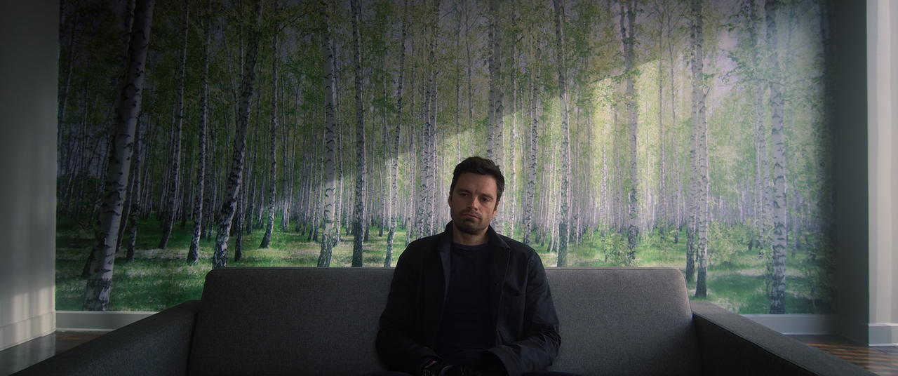 The.Falcon.and.the.Winter.Soldier.S01E01.New.World.Order.1080p.10bit.DSNP.WEB-DL.DDP5.1.HEVC-Vyndros