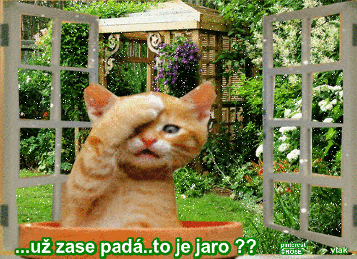 An den Beitrag angehängtes Bild: https://i.postimg.cc/wMPmqjSY/16-4.gif