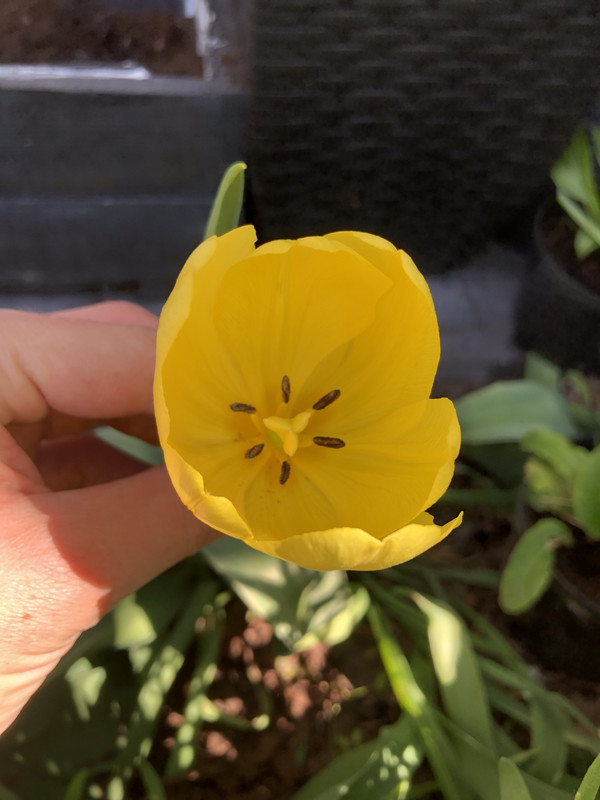 03636FF3-AAEB-45D7-B5EE-960AD3618120