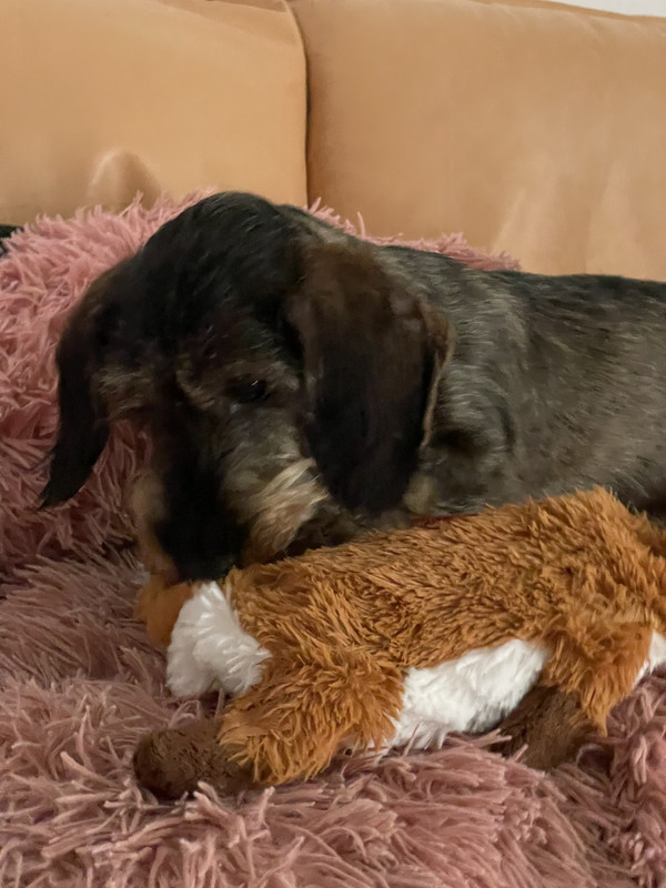 [Image: IMG-1569.jpg]