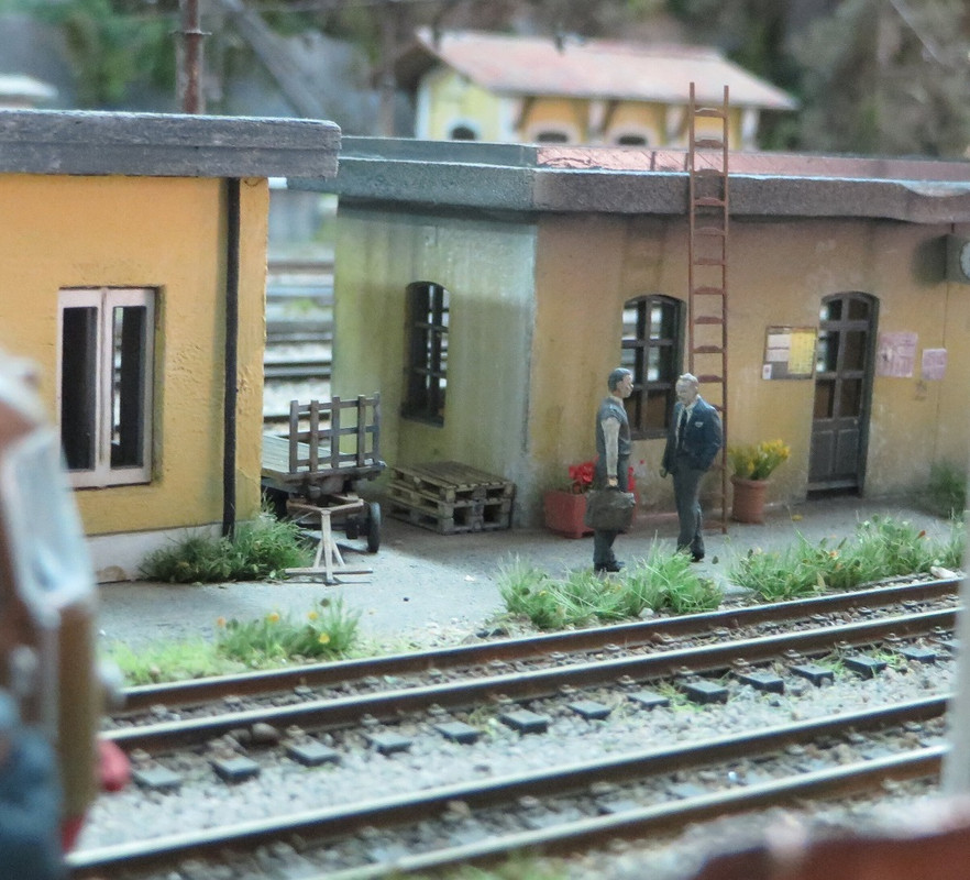 Alberi Boscoscuro giugno 2023 (16)