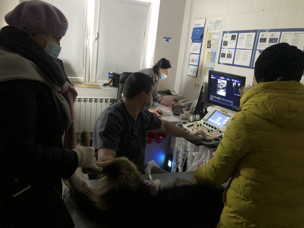 38034132-E677-4E14-88BB-F4030E5E5298