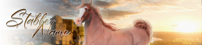 Roan-Pony-BANNER