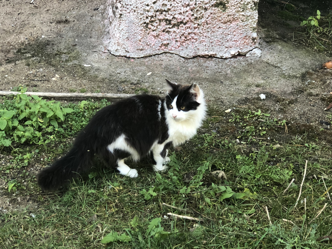 60E5D8B3-1E00-4203-AC2A-3A5E9146D2F8