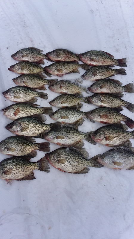 Carey Crappies  2 - 1 - 22