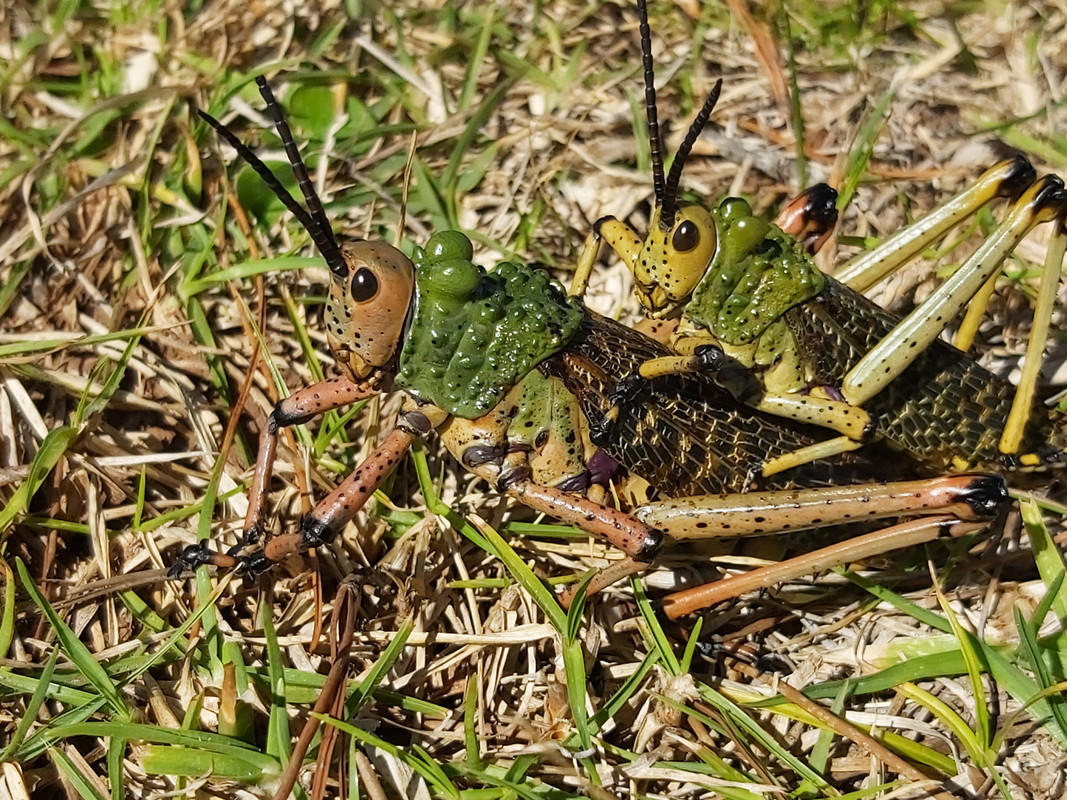 20190926-112816.jpg