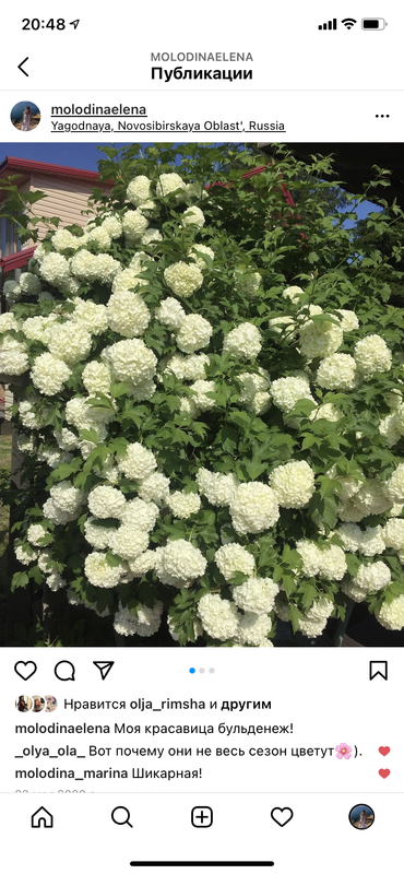 435CE4B0-6776-4EBE-806A-772F58507B02