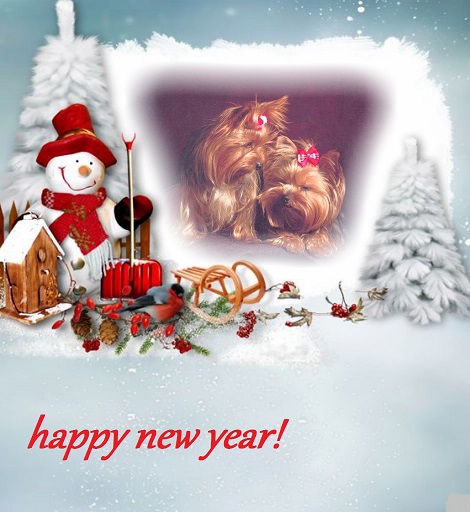 pixiz 30 12 2025 14 40 10