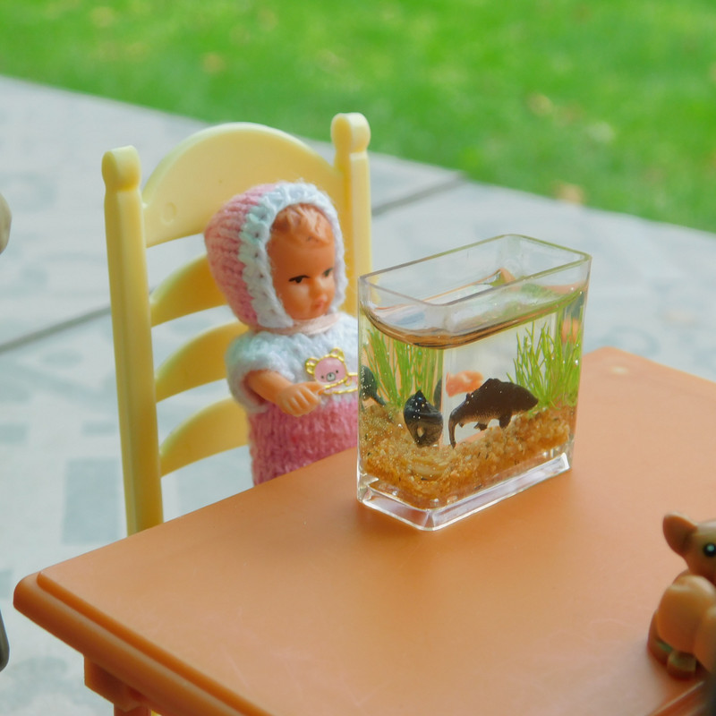 Дачное Маттел к Хелл 2025, Харли и Ко продолжение 218