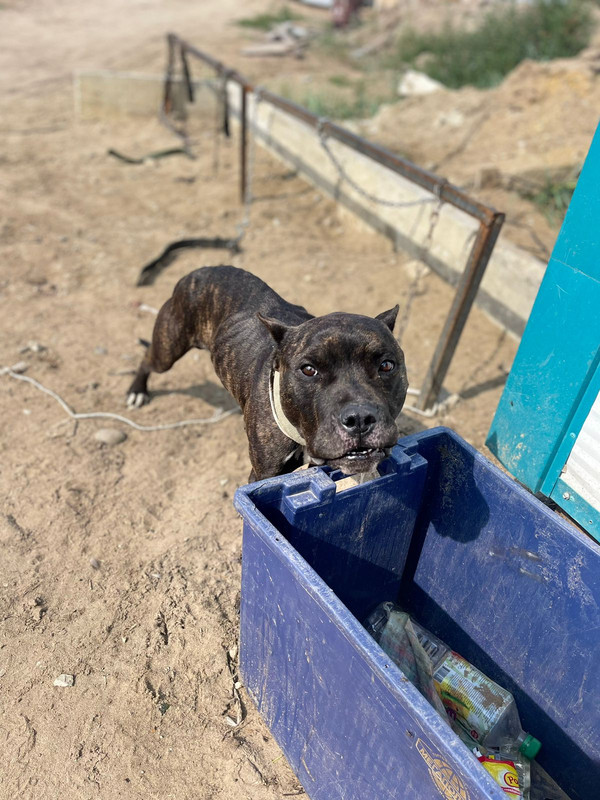 8F68D2B2-BA51-4C6F-9E33-582E1131CE25