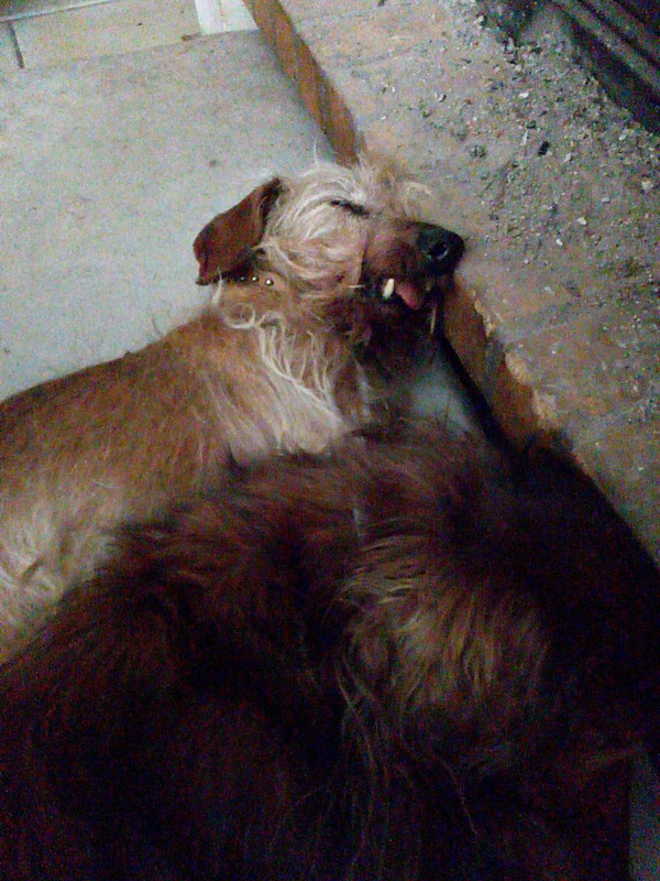 [Image: IMG-20210201-130913291.jpg]