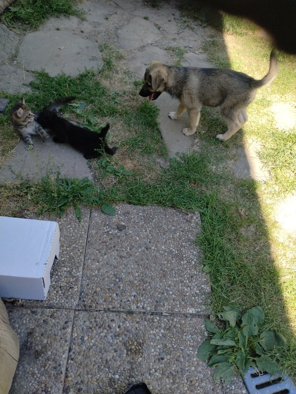 IMG_20250703_154334576