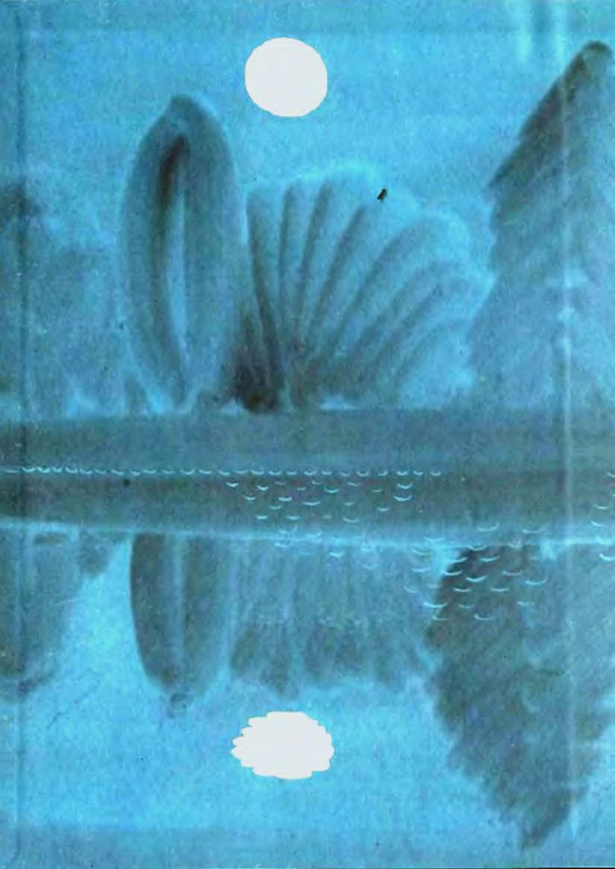 p0004