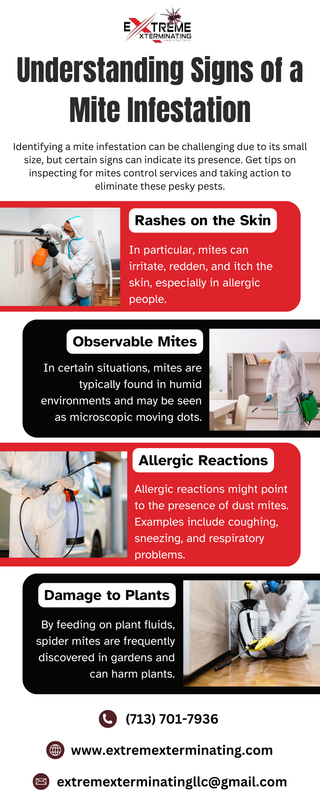 Understanding Signs of a Mite Infestation