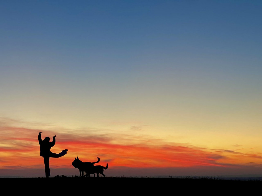 E3D82DE7-CF53-46CC-9BFA-9C0394B038C5