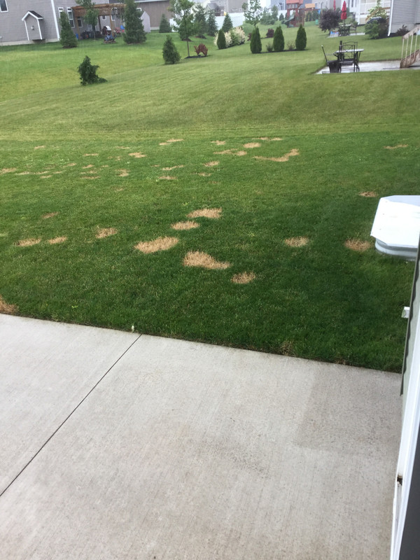 1F21DFF3-7E82-44AD-B041-3545204AA1C7