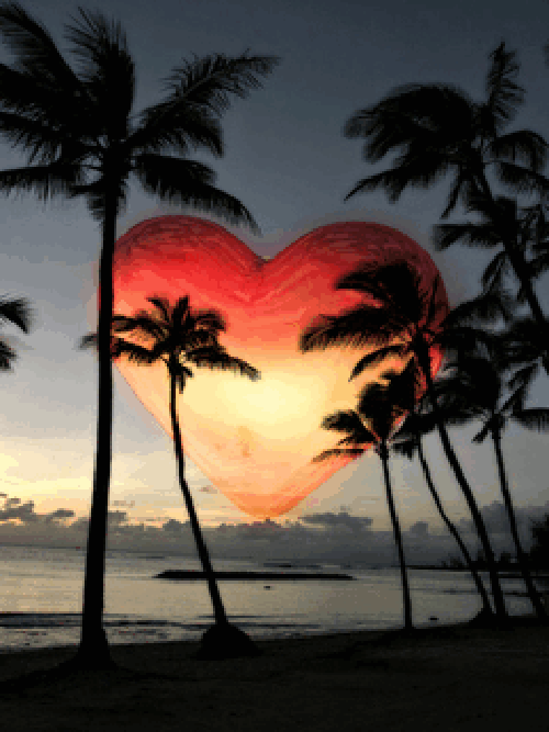 ���� ���� ������ �� ���� ������