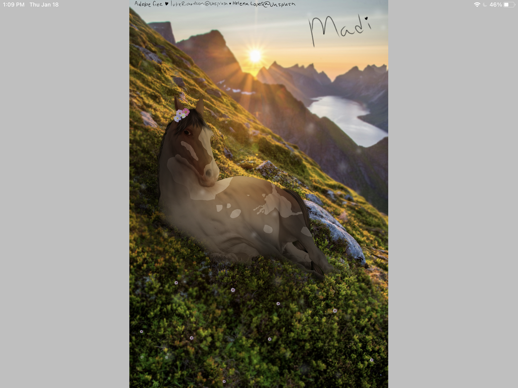 6191CC60-D7EA-47BB-9EAD-8EFFB966D3D5