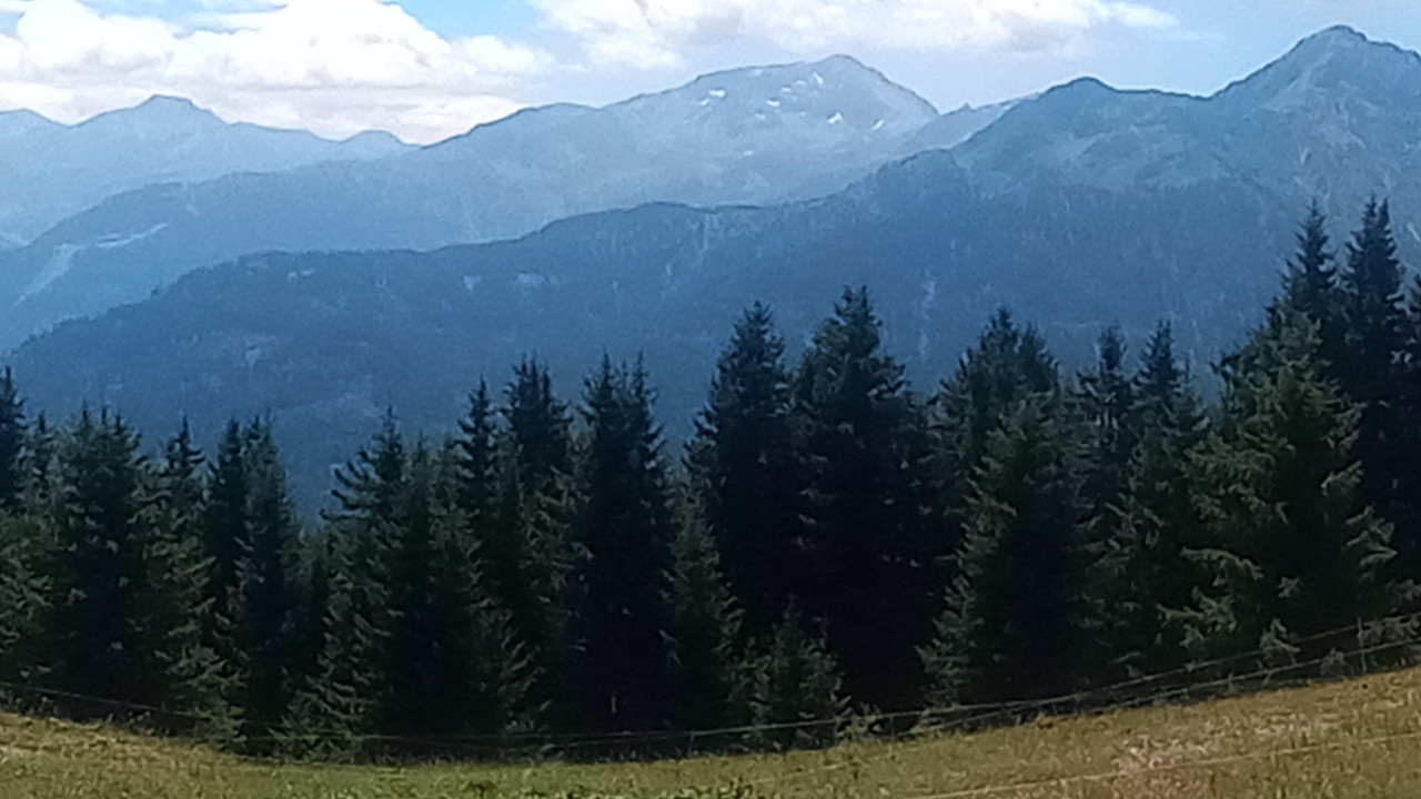 IMG_20250716_130411 (Large)