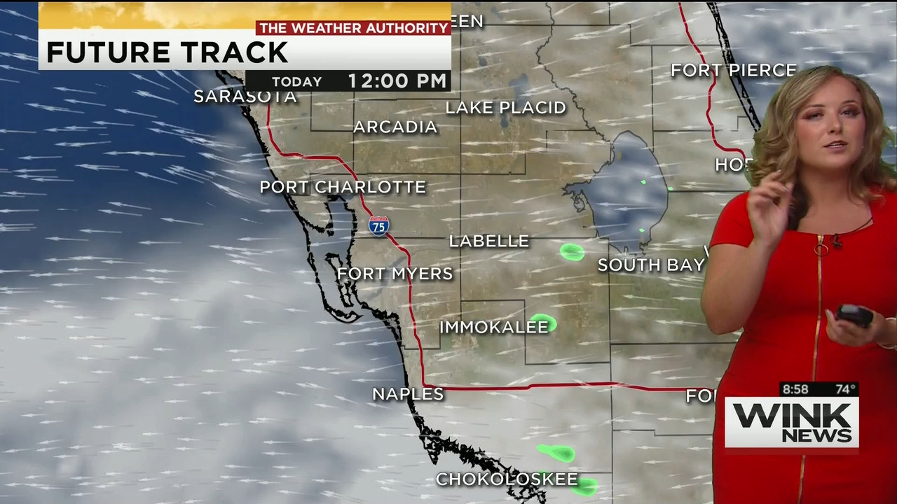 23 May - 14.00.00 - WINK News @ 9 00AM..ts_snapshot_00.03.07_[2020.05.23_17.10.55]