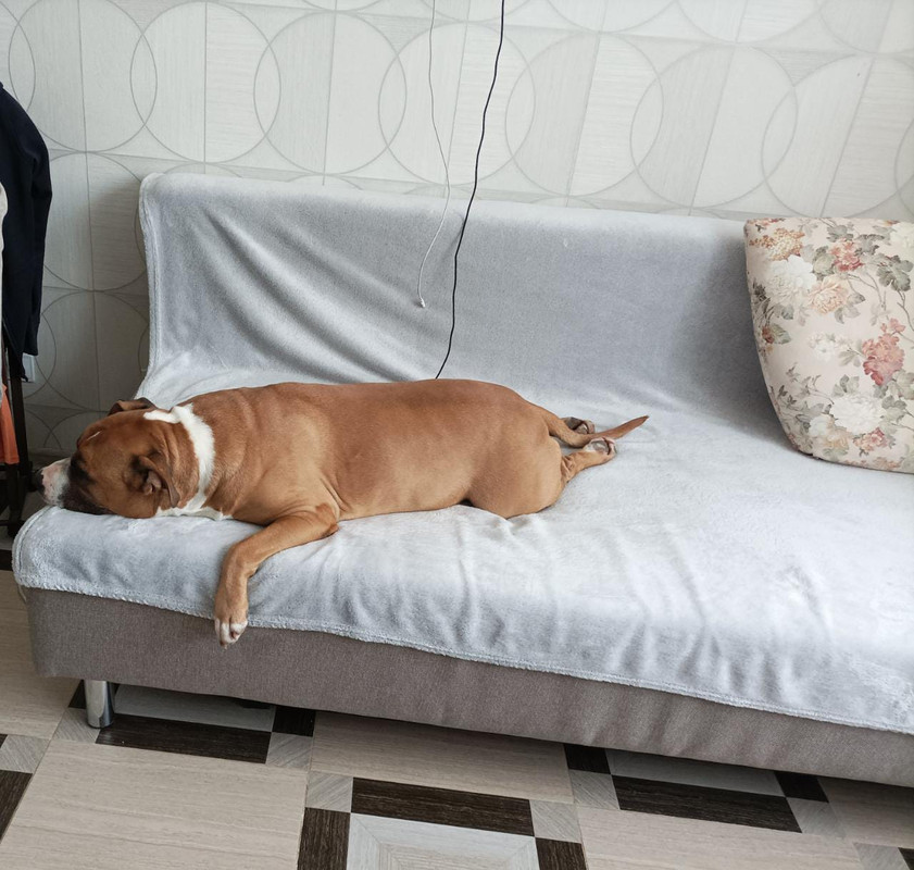 8213162A-37F9-44E7-A1CA-912547300571